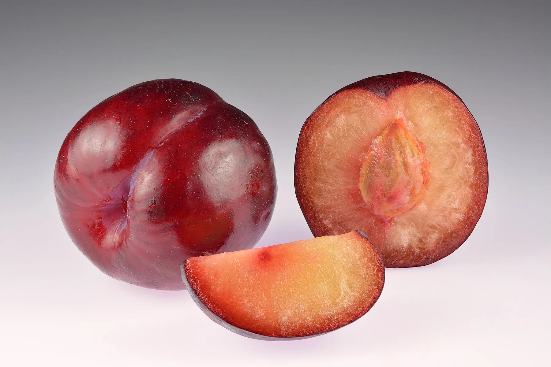 Ripe plums hanging on a tree.