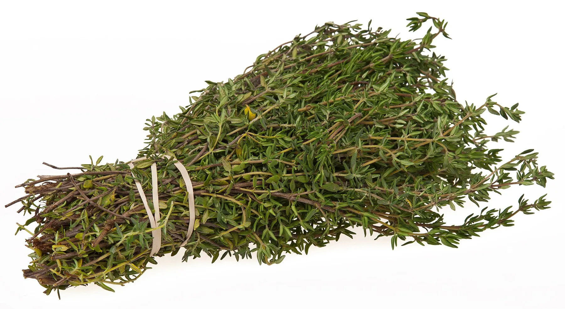 Tiny thyme leaves on woody stems.