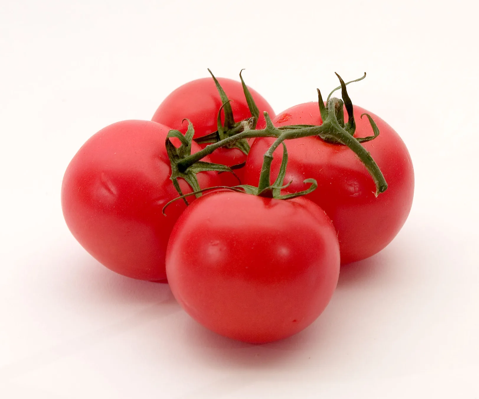 Ripe tomatoes hanging on the vine.